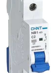 Disjoncteur miniature NB1, 2A CHINT 1 pôles Type C 480V c.a. 480 V c.c., pouvoir de coupure 10 kA