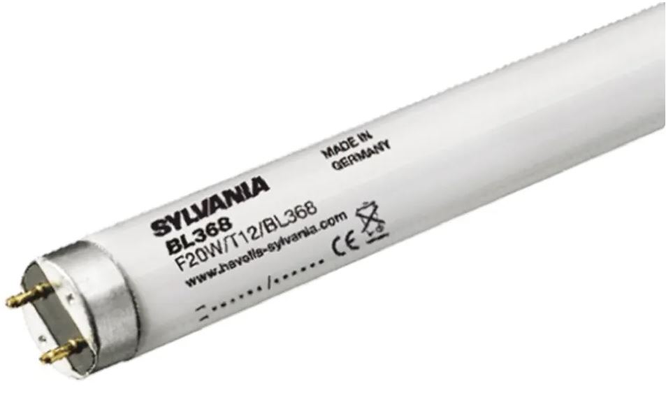 Lampe actinique Sylvania 20 W culot G13 Triangulaire 589.8 mm 368 nm 38 mm