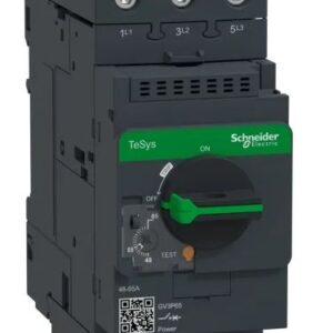 Disjoncteur thermique Schneider Electric, 65A, 3 pôles TeSyS GV TeSys Direct