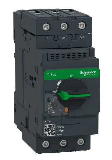 Disjoncteur thermique Schneider Electric, 65A, 3 pôles TeSyS GV TeSys Direct